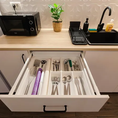 公寓 With Private Parking And Balcony 蒂米什瓦拉